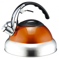 Чайник со свистком оранжевый NS10KET
