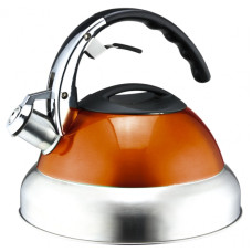 Чайник со свистком оранжевый NS10KET